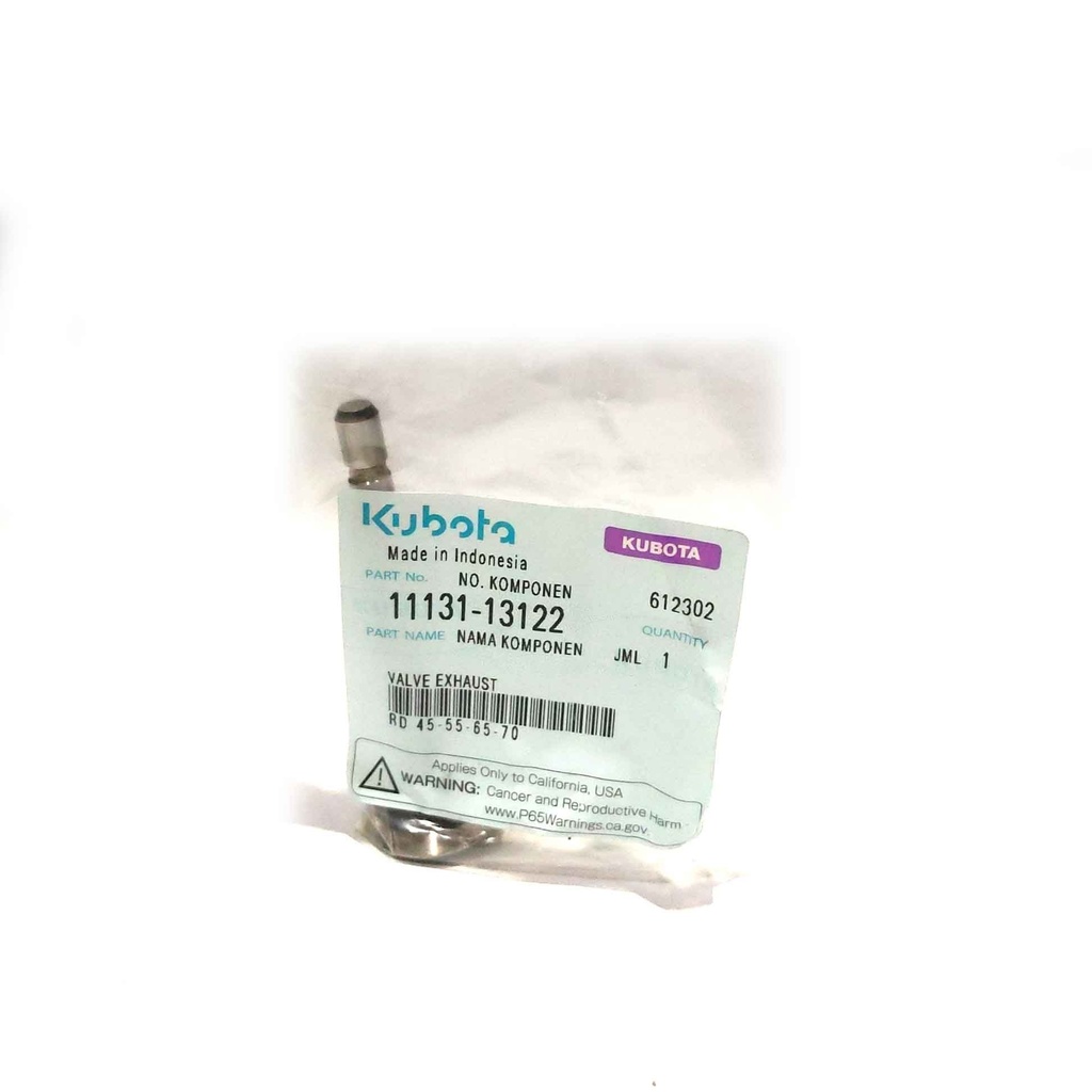 VALVE EXHAUST RD 45-55-65