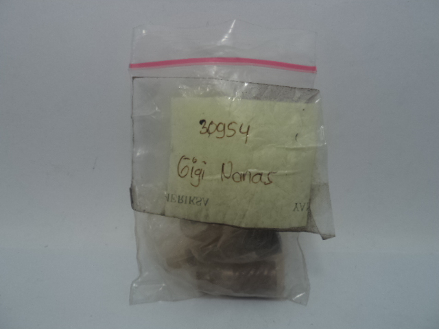 GIGI NANAS