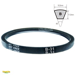 [32031] Mitsuboshi V Belt B31