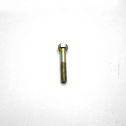 [56178] G21 HEX H.SCREW M5X30 Z4 CS 0.